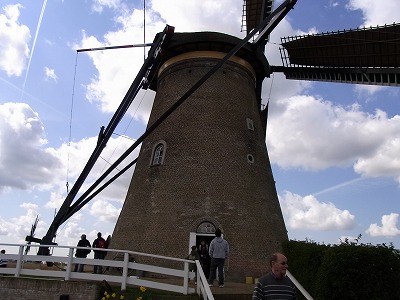 RIMG0078.jpg
