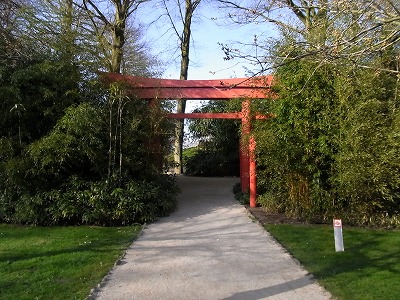RIMG0216.jpg