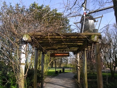 RIMG0219.jpg