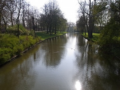 RIMG0617.jpg