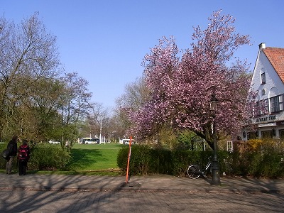 RIMG0619.jpg