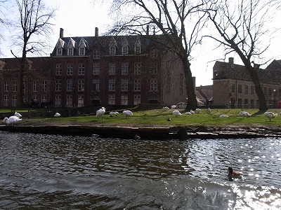 RIMG0663.jpg