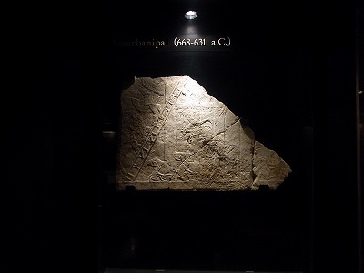 RIMG0757.jpg
