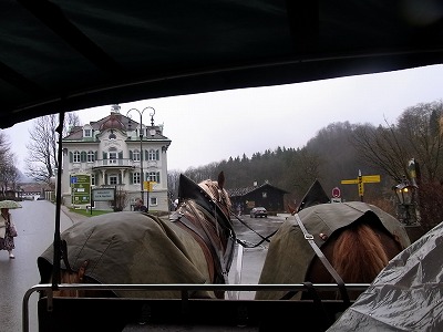 RIMG0944.jpg