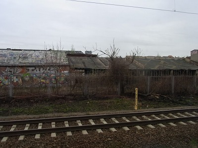 RIMG1138.jpg