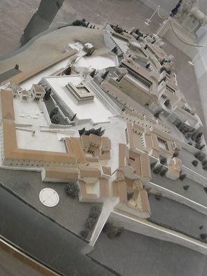 RIMG1188.jpg