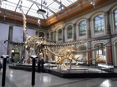 RIMG1267.jpg