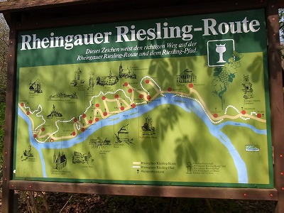 RIMG1582.jpg