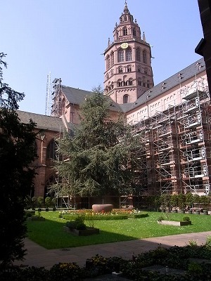 RIMG1698.jpg