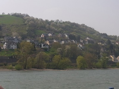 RIMG1628.jpg