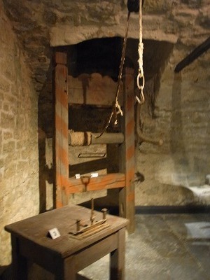 RIMG1771.jpg